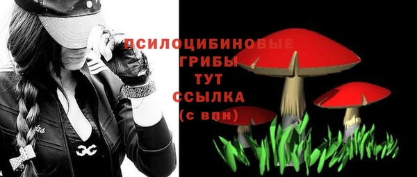 таблы Киреевск