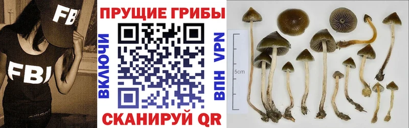 хочу наркоту  Ессентукская  Псилоцибиновые грибы мицелий 