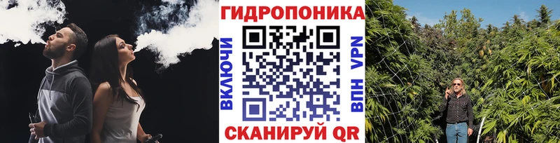 МАРИХУАНА конопля  Ессентукская 